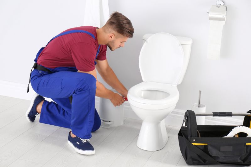 Toilet Installation Service detail